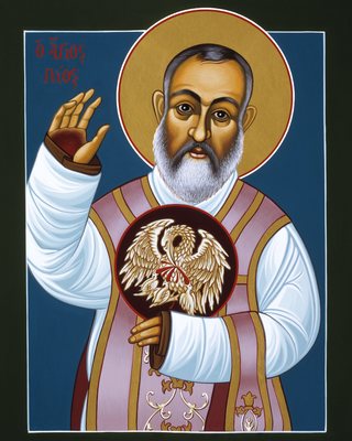 St Padre Pio - Mother Pelican